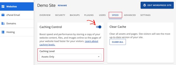 Bluehost caching levels