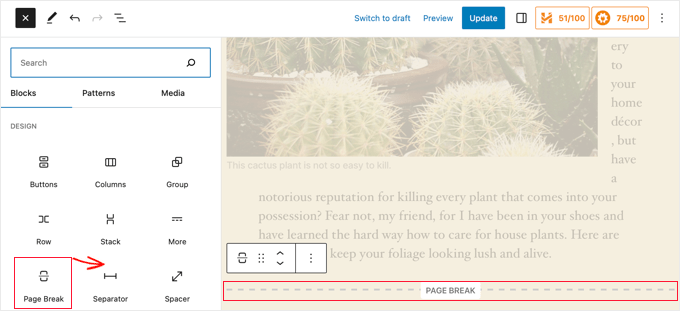 Adding a Page Break Block